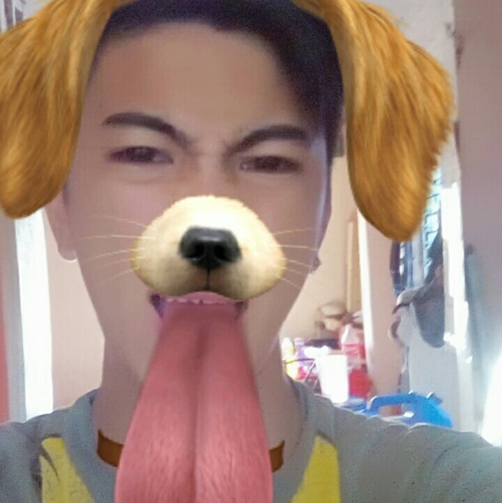 #NewProfilePic

Arf Arf 🐶🐶🐶