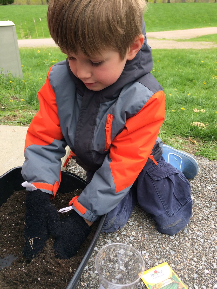 Sarah Read tweet media