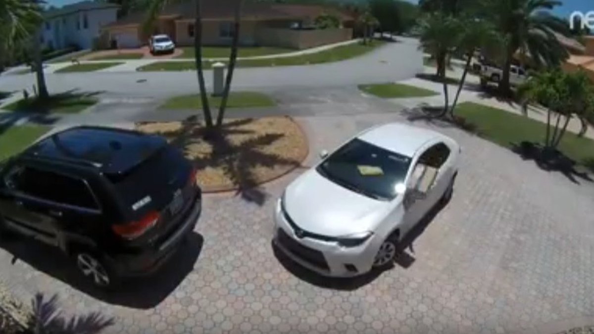 Wild Miami @Amazon delivery woman caught throwing packages on video AGAIN bit.ly/2q1123F https://t.co/bHtauzbaW9