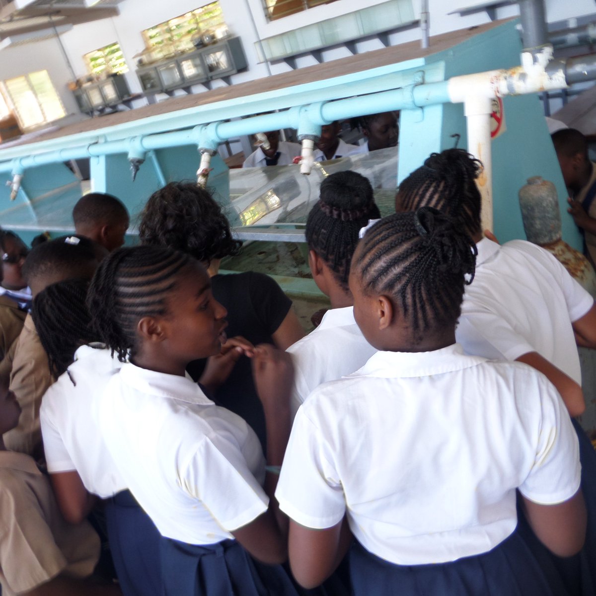 MarineDbay's tweet photo. Grove Town Primary joined us for some Marine Education today! https://t.co/wTiWJLotM3
