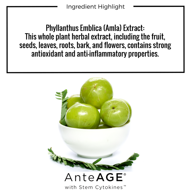 CelleseAnteAGE's tweet photo. Amla extract, including the fruit, seeds, leaves... contains strong antioxidant and anti-inflammatory properties.
#skincare #ingredients https://t.co/TRPWN3eem5
