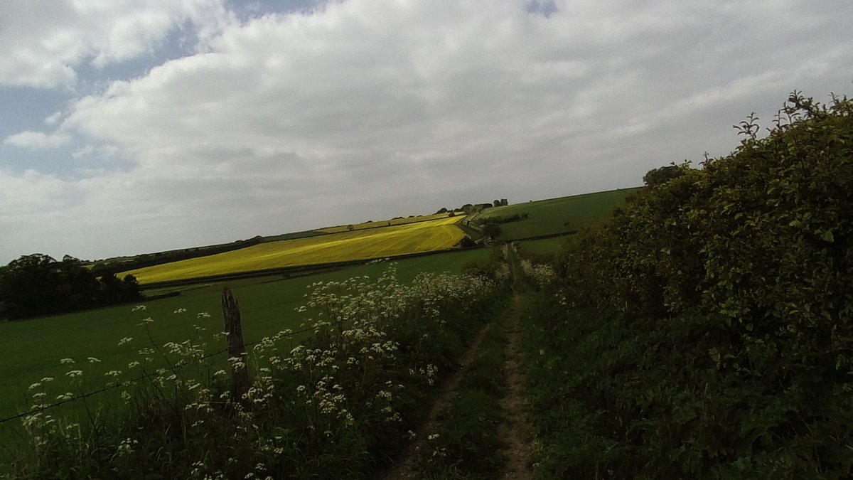 smarklight's tweet photo. Went for a 61.2km long run https://t.co/XDFP5u5tn8 #strava #TheOxDroveWay #Run1000Miles #GetOutside #WayfarersWalk https://t.co/VJJ5rhUGa6