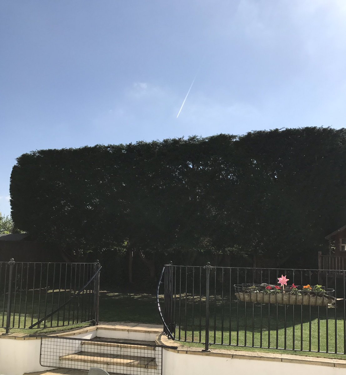 LizzieBiggs1's tweet photo. Leylandii got the chop today! Thanks #ashculmetreesurgeons #beforeand after https://t.co/J8ANjcIyNA
