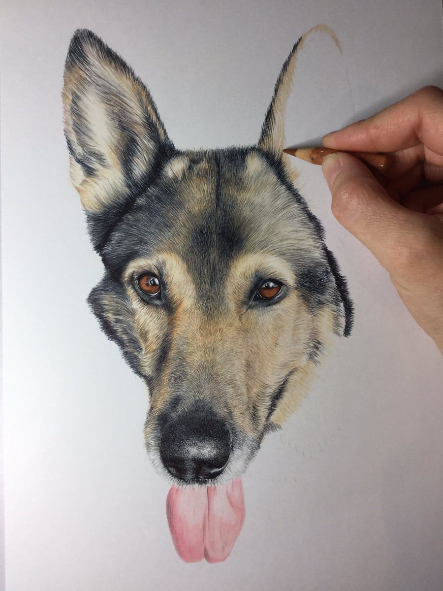 Niki Firmin tweet media