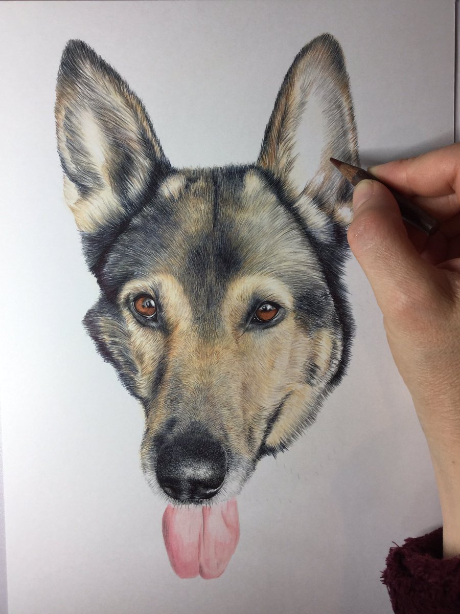 Niki Firmin tweet media