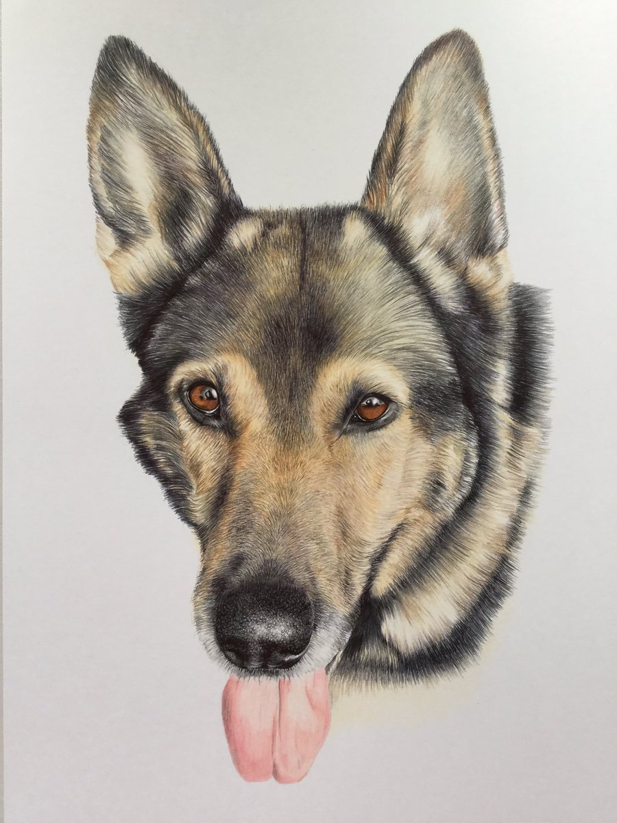 Niki Firmin tweet media