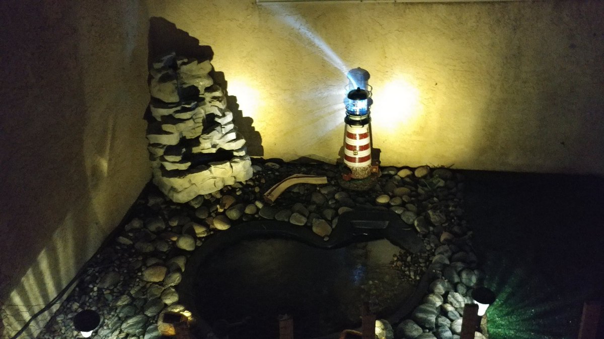 TavisNation's tweet photo. Pond finally complete https://t.co/IBU6E6mu7H