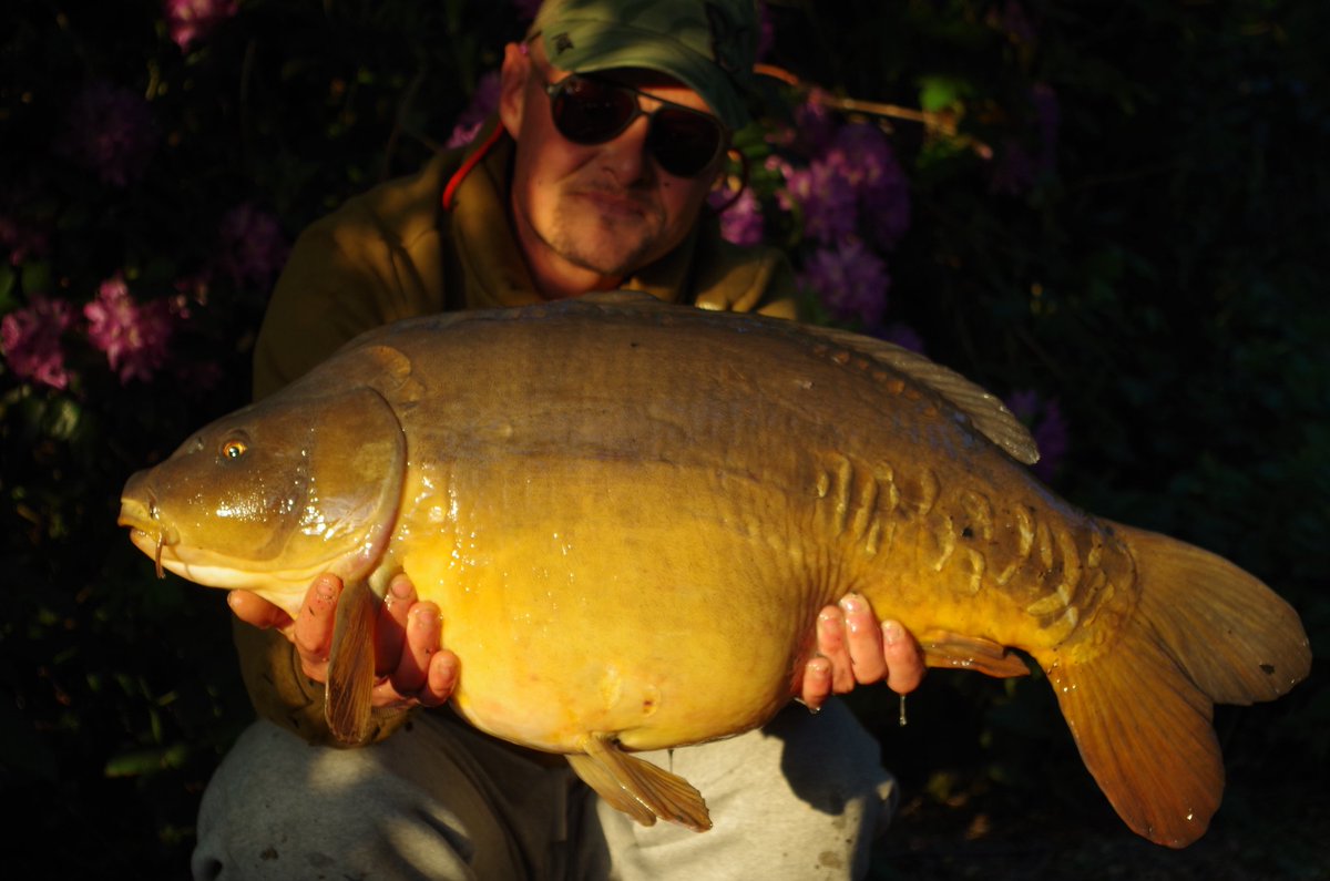 lindenwoodsman's tweet photo. @WLMBaits Well what can I say.... Jamie has caught a corker of a fish at 28lbs 2oz. Well done fella 👌👊 #teamWLMbaits #saynomore https://t.co/CuQGeJlMfe