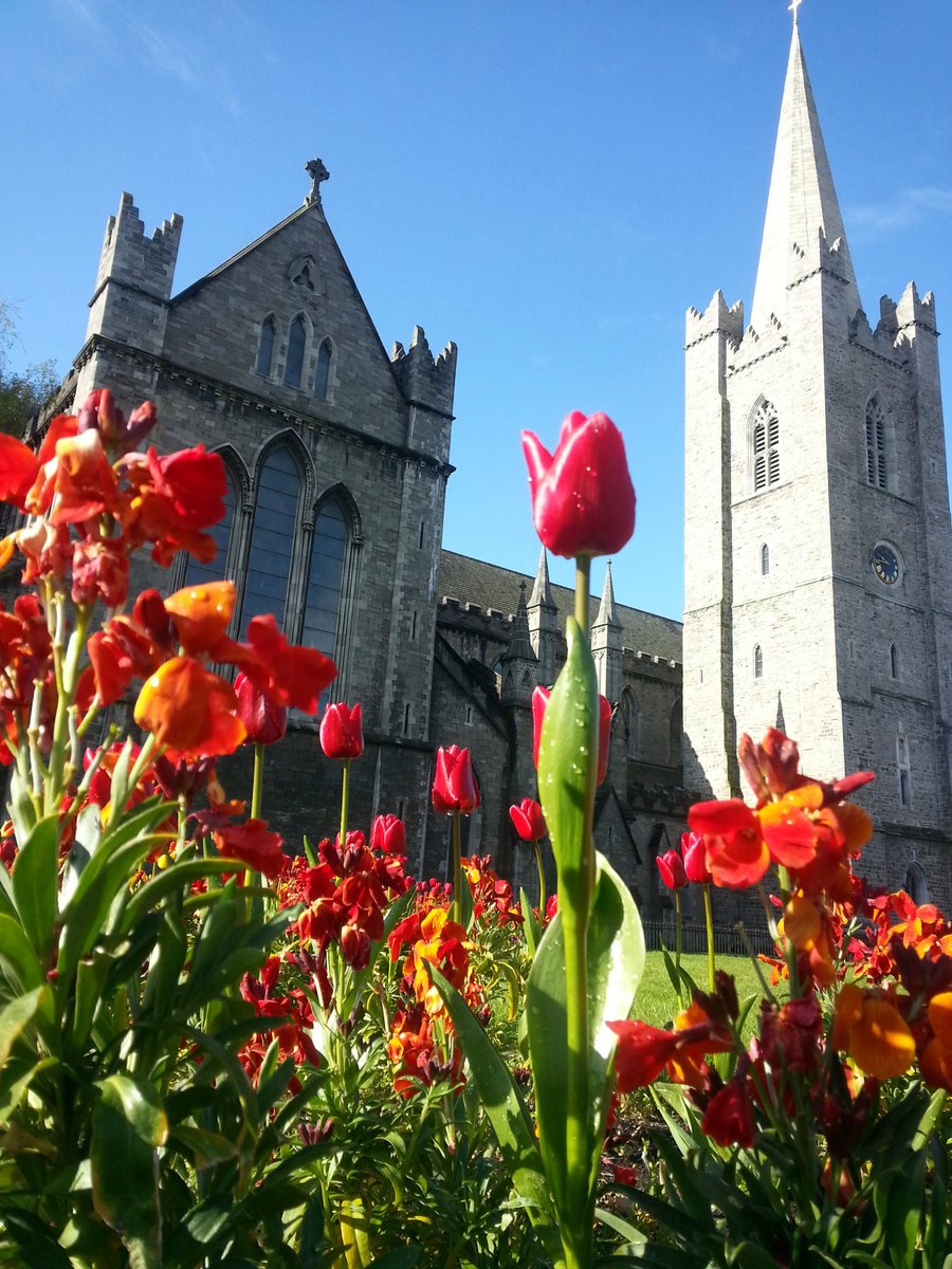 TravelAvanti's tweet photo. April showers bring May flowers!
#travelavanti #ireland #stpatrickscathedral #dublin #exploremore #spring

https://t.co/5RkKk52UPp https://t.co/sIHWZIlg96