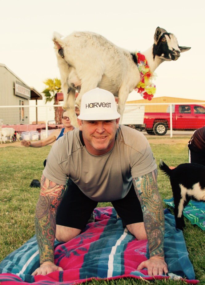 trulieve_az's tweet photo. Want to improve your day? Add goats. Always add goats. #PutAGoatOnIt

Check out https://t.co/rm4CERvW9W to have a blast! https://t.co/Jb9v7OM3gb