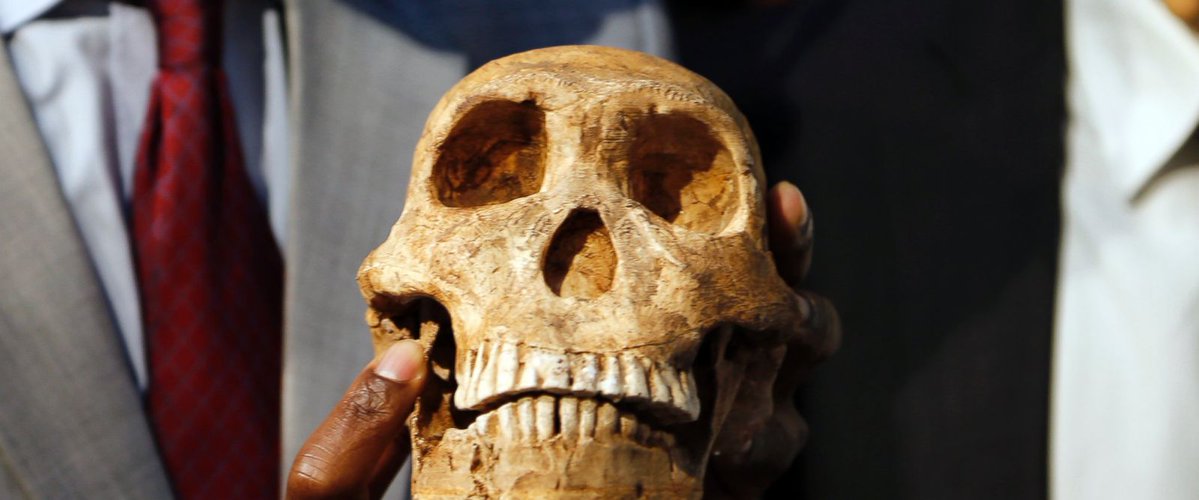 cdw369's tweet photo. Scientists discover that species belonging to human family tree lived around... https://t.co/tKZRZ1Eg3l by #The_Real_Fly via @c0nvey https://t.co/MwZ8hfn1Nq