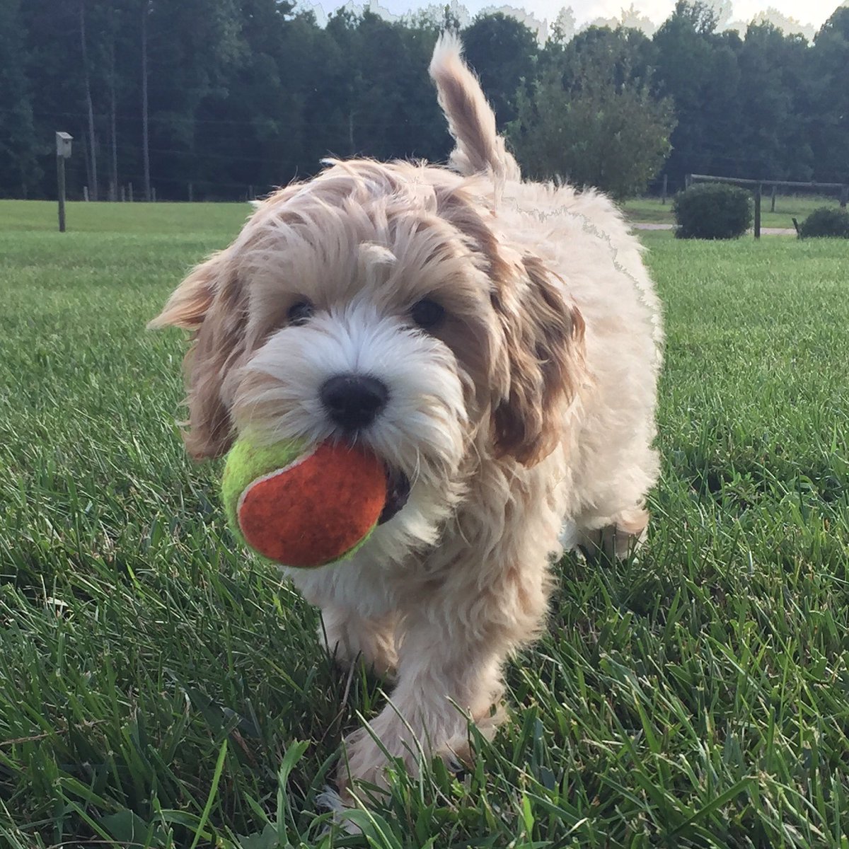 Anne Goodnight tweet media