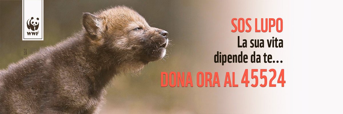 donabianchi1's tweet photo. https://t.co/16YBOdevxY