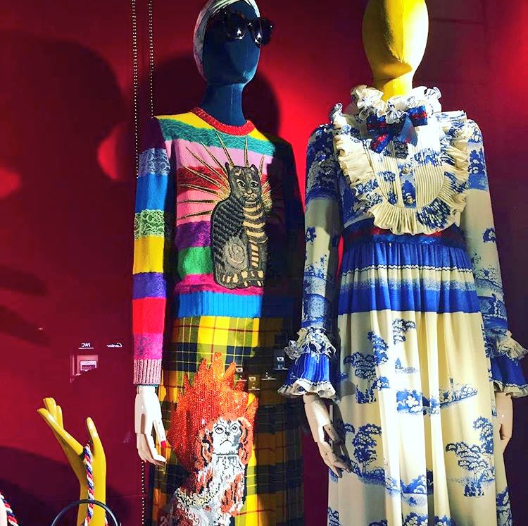 KimFriedmutter's tweet photo. .@gucci You've cat to be kitten me right meow. #CATure 😻 #Gucci #couture #style #fashion #fashionblogger #GucciPreFall17 #cats #catlovers https://t.co/xfRDf36w1p