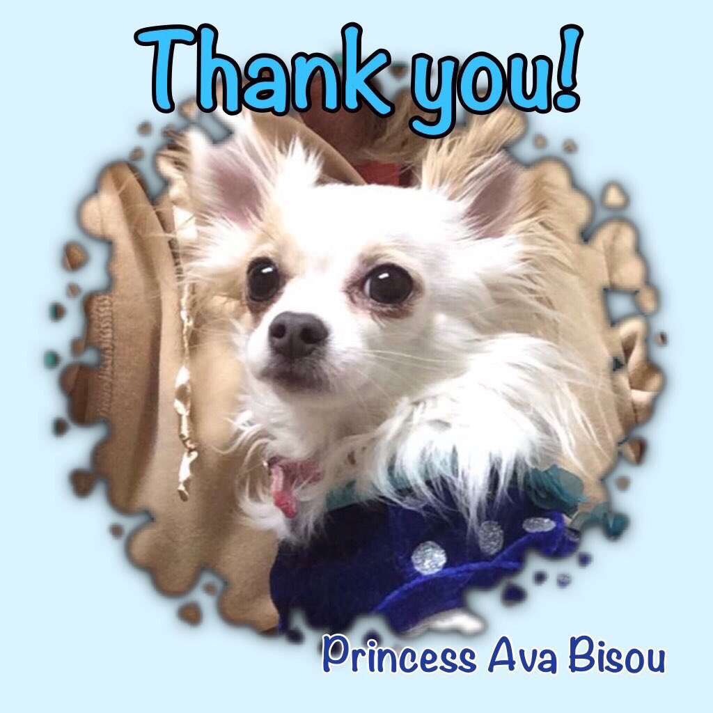 PrincessAvaBiso's tweet photo. @lucyvalentine5 THANK YOU for the RT #PrincessAvaBisou #PrisonertoPrincess #prayersforjake https://t.co/hdXUAmEiu8