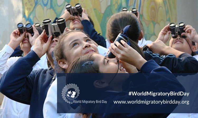 UN's tweet photo. Conserving migratory birds &amp; their habitats is good for #GlobalGoals. Wednesday is #WorldMigratoryBirdDay:  https://t.co/UjrhBUhyb2 v @WMBD https://t.co/wetoOiApoY