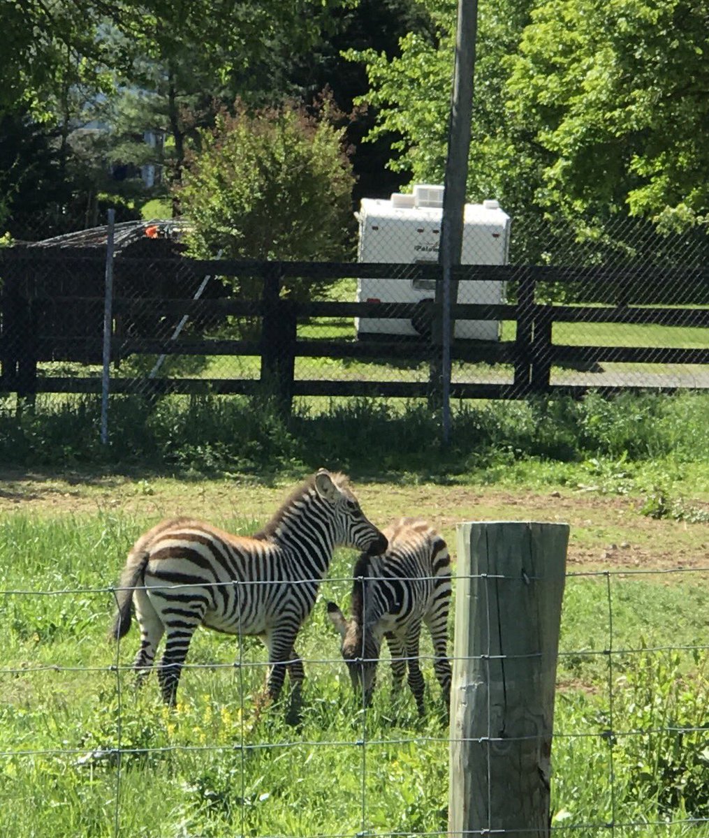 Classroom1RRD's tweet photo. A beautiful day for a field trip to the Animal Park! @RRD_LCPS @MsWyant_RRD https://t.co/mS2jesBVzt