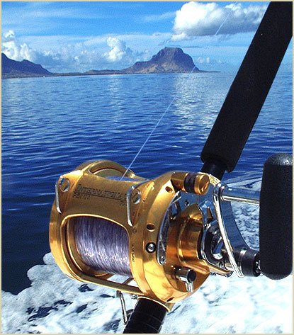 Some Simple Insights Into Wise Tactics For Game Fishing gamefishinglfh.tosaweb.com/some-simple-in…