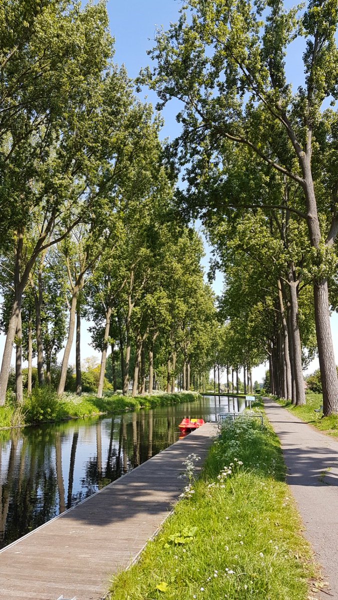 fthanh1's tweet photo. Promenade au bord du canal de #espierre #leers #roubaix https://t.co/4qdD4ZP5Ka
