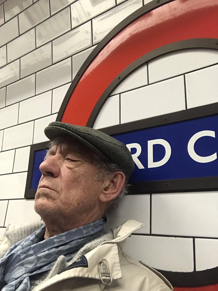madscjones's tweet photo. #Gandalf taking a tactical nap on the way to Rivendell https://t.co/7untC69No7