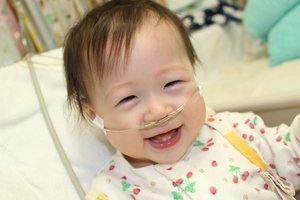 ゆきちゃんを救う会 V Twitter 上記を除き 原則とし募金活動は終了させて頂くことをご報告いたします また 渡航日につきましては 日程が決定次第ご報告をさせて頂きます 引き続き ゆきちゃんの心臓移植成功にむけて温かい応援をよろしくお願い致します ゆき