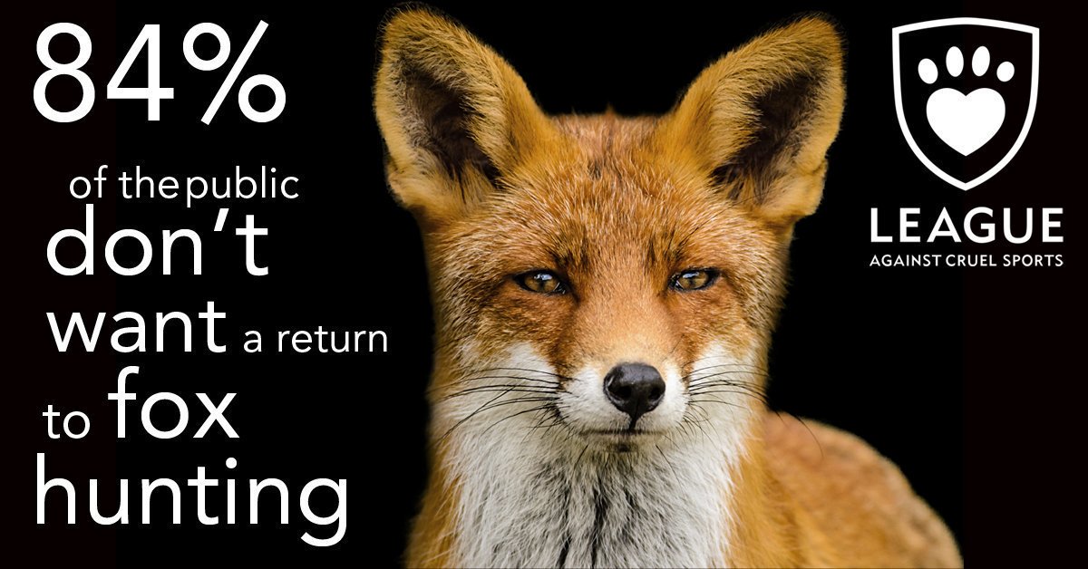 nextnewslive's tweet photo. RT if you are one of the 84% who do NOT what to see the return of... https://t.co/r8oLLN6FLN by #debsspencer1 via @c0nvey https://t.co/htyysIdPvq