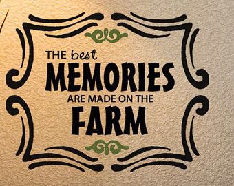 tractor_tim's tweet photo. #TattershallFarmPark #makingmemories #fun #daysout https://t.co/ei08rSwxHY