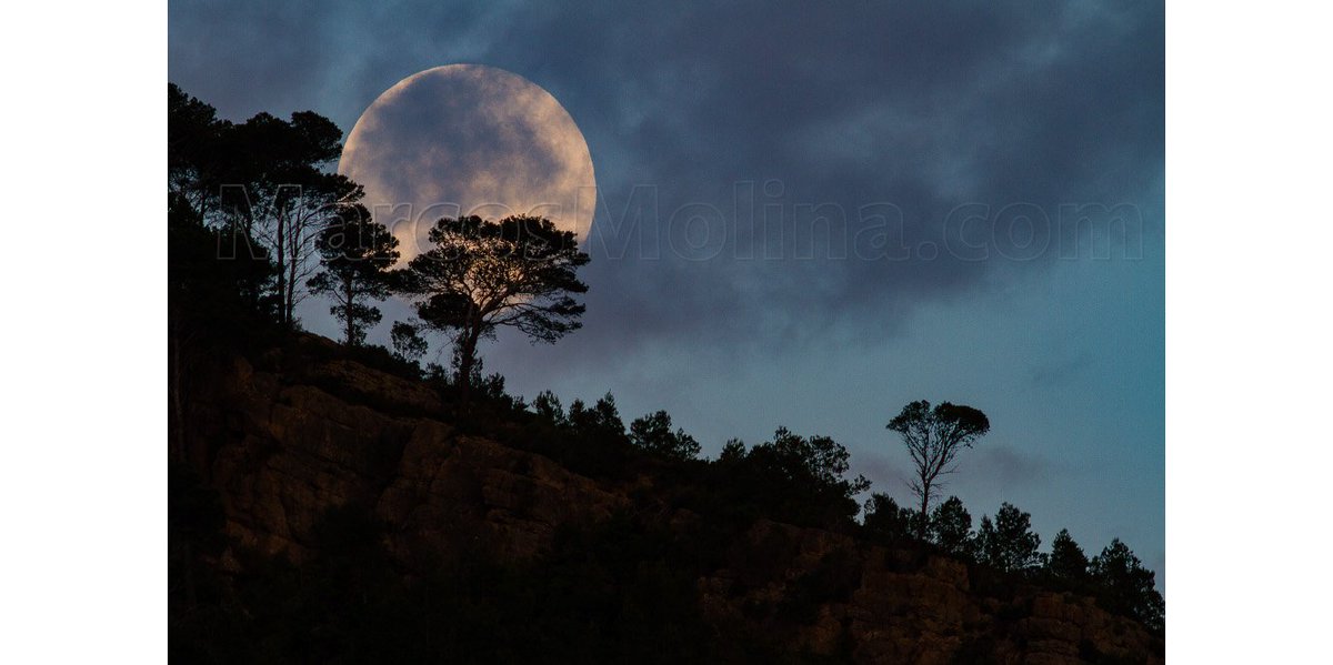 _MarcosMolina's tweet photo. #Luna saliente de hoy, Serra de Tramuntana, #Mallorca #fotografia #naturaleza • https://t.co/xuGd99OHsH https://t.co/0KoZN0LM3x