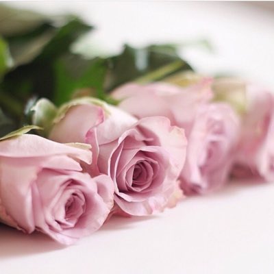 ward_335's tweet photo. #صورة_جديدة_للملف_الشخصي https://t.co/2d0Ucizi1H