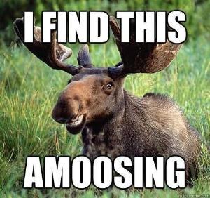 The long, arduous path through the #iOS review process required me to verbally abuse the review team. But the game is now approved!