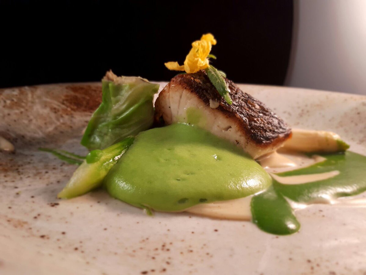 PaulJ_AP's tweet photo. The main event! Stone bass and duck #dineSW9 @PaulJ_AP @ALISON_PRICE https://t.co/CQEu4UmLbp