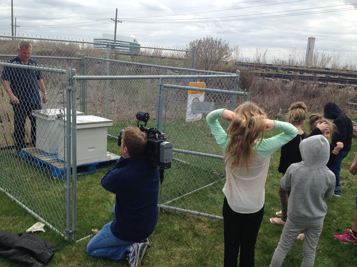 yycPhoenix's tweet photo. Our bees had some more visitors today. They are starting to feel like rockstars! #abed #ialearning @CBCCalgary @tschweizer https://t.co/X6qGpdfAxl