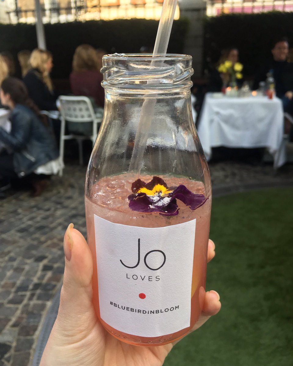 PetiteBlondine's tweet photo. The Pomelo: gin, hibiscus and fresh pomelo topped with bubbly, from the new Jo Loves-inspired cocktail menu @ Bluebird. IT'S JUST SO PRETTY. https://t.co/GTs7rWLtSd