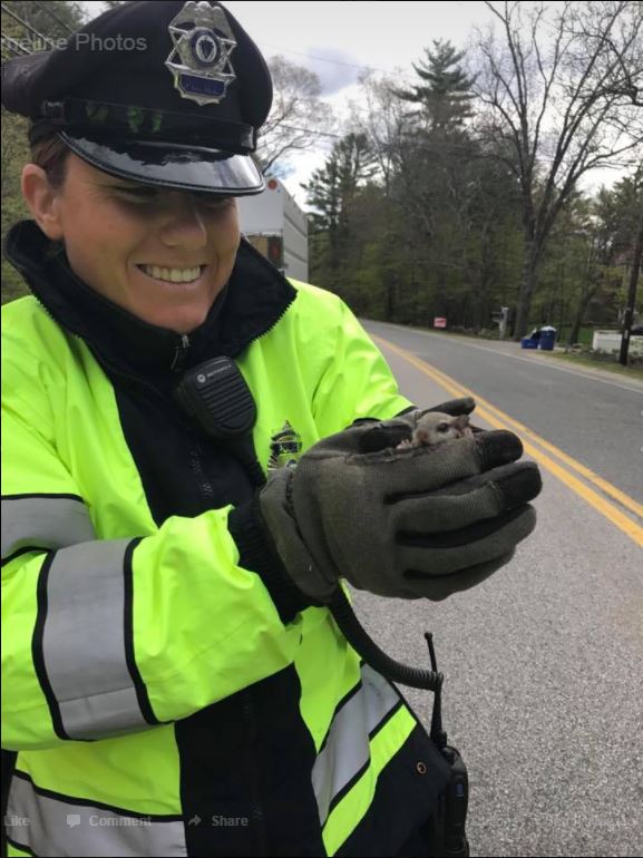 Bill Sheerin tweet media