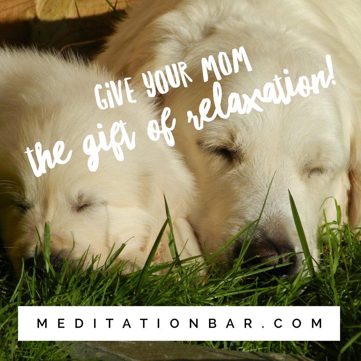 Treat your mom to a free class on Mother's Day - better yet, attend together! Use the code MBMoms2017 for one free #class. #mothersday #love