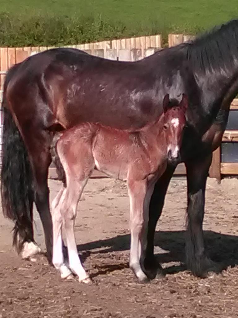 MurphysMagic8's tweet image. New baby 😍😍