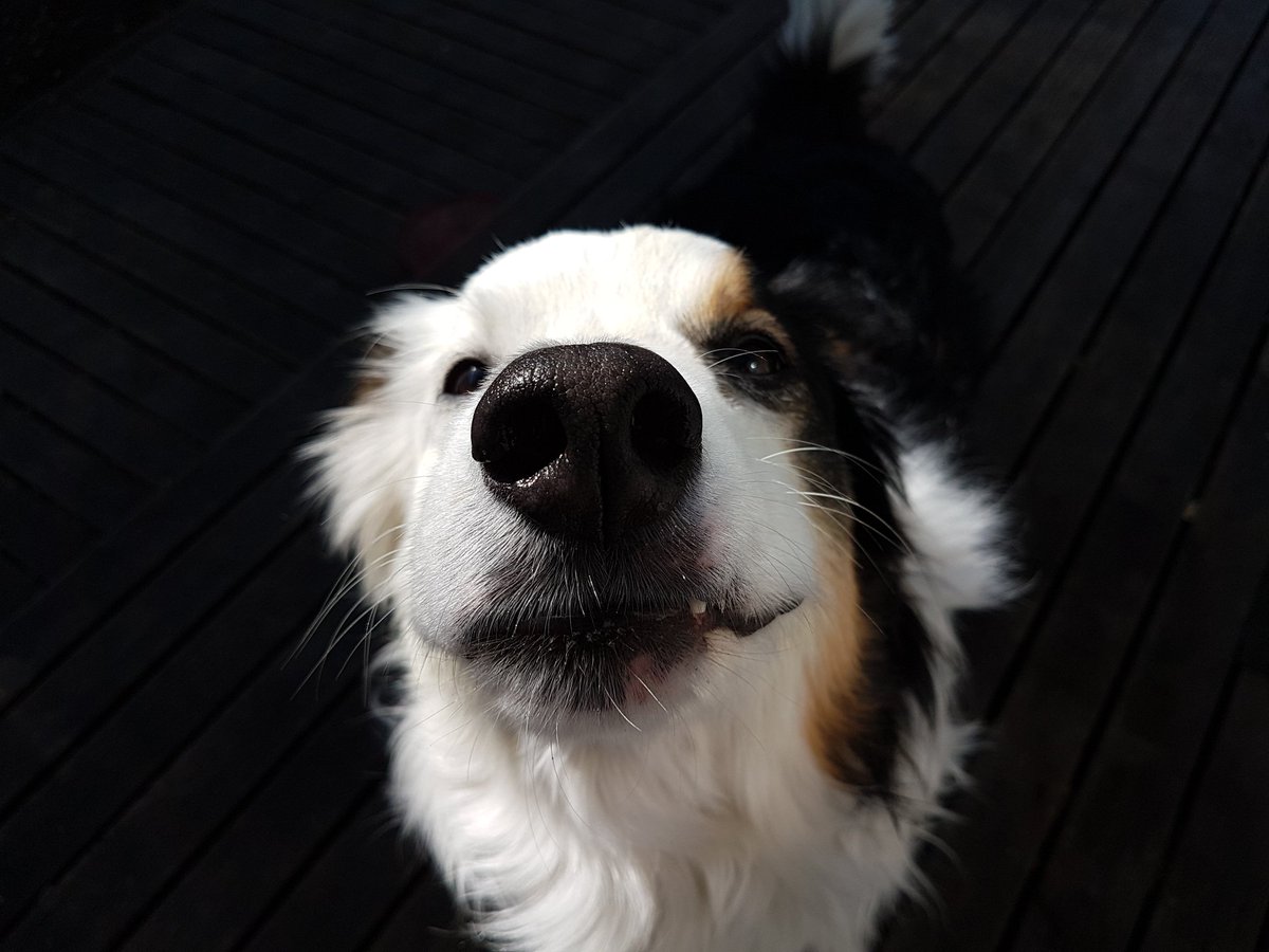 borderKyle's tweet image. Wishing my mom a happy birthday by showing her some silly faces 🤡😋😚
#HappyBirthday @somethingabouta