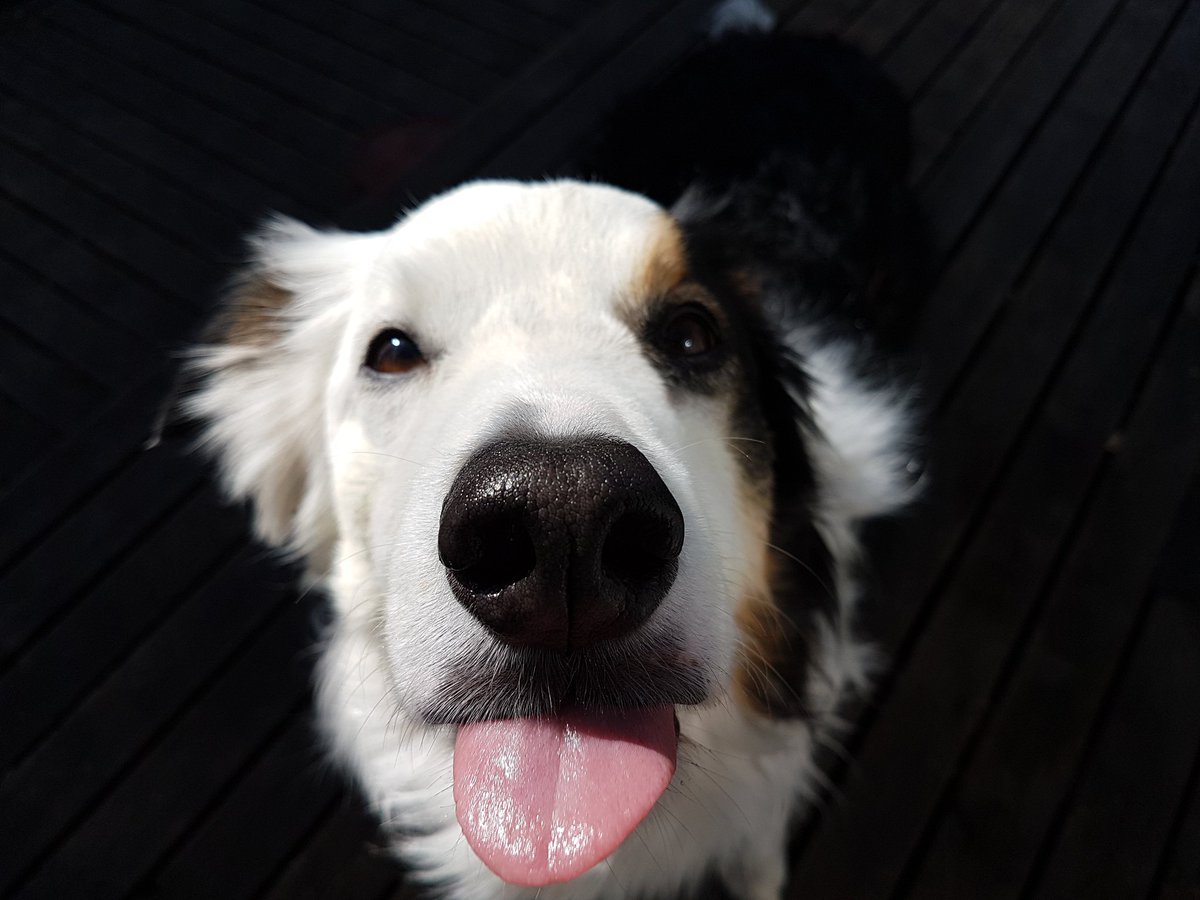 borderKyle's tweet image. Wishing my mom a happy birthday by showing her some silly faces 🤡😋😚
#HappyBirthday @somethingabouta