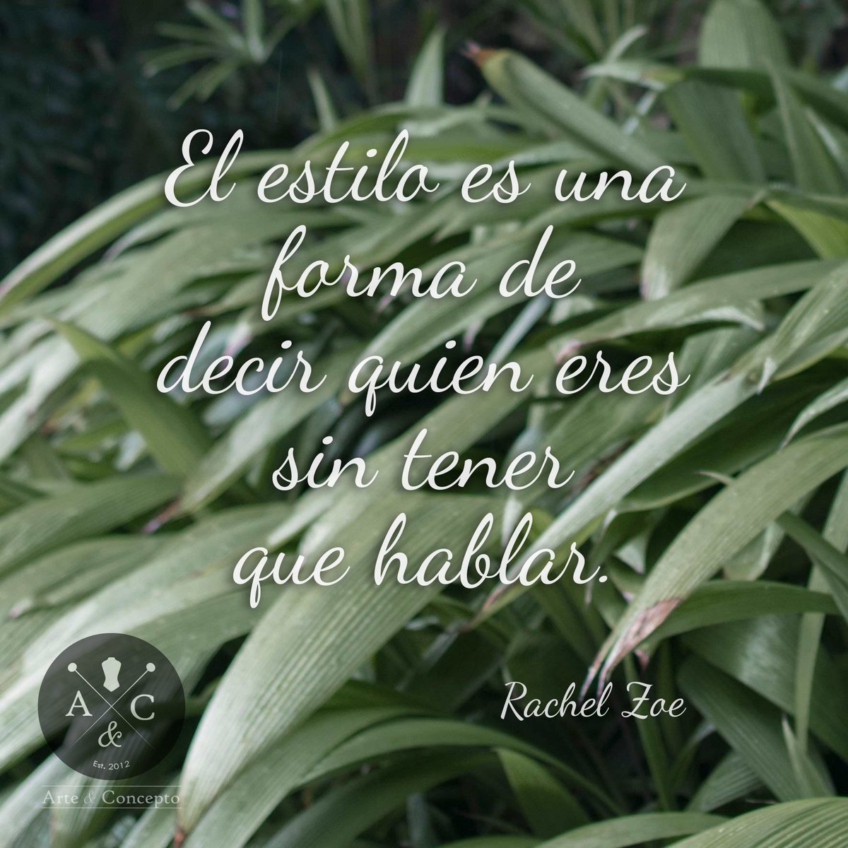 arteyconcepto06's tweet photo. [ ARTE &amp; CONCEPTO ] 

#Frases #Moda #RachelZoe #Venezuela #Caracas #Vzla #igersvenezuela #ArteyConcepto #Modelo #Ropa #ModaVenezolana #arte https://t.co/S1vDQEAoBh