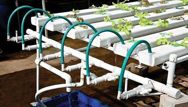 aleshammah's tweet photo. El camino hacia el drenaje agrícola cero https://t.co/5ZyZrzaiO2 https://t.co/CnRpyXZvuh