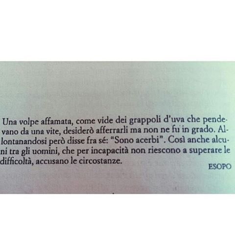 ReginaCatrambone on Twitter Quando la volpe non arriva alluva