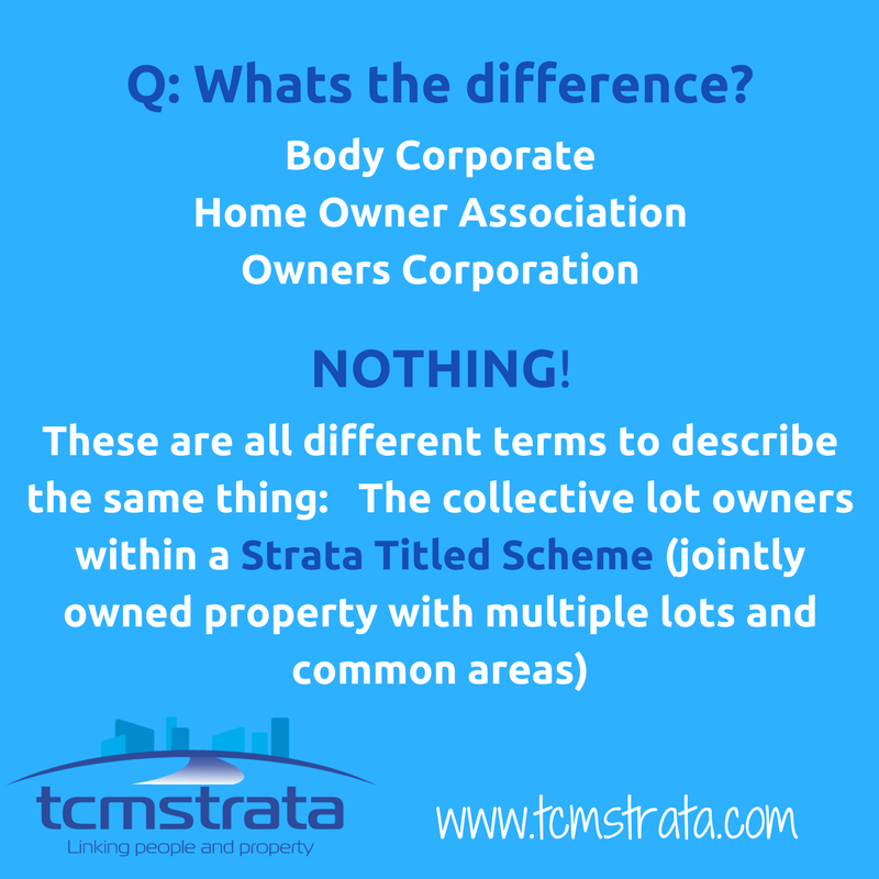 TCMRentalsSales's tweet photo. Whats the Difference? #wednesdaywisdom #tcmstrata #linkingpeopleandproperty #cairnsstrata #portdouglasstrata #townsvillestrata #weserviceFNQ https://t.co/LBJsrzhYJZ
