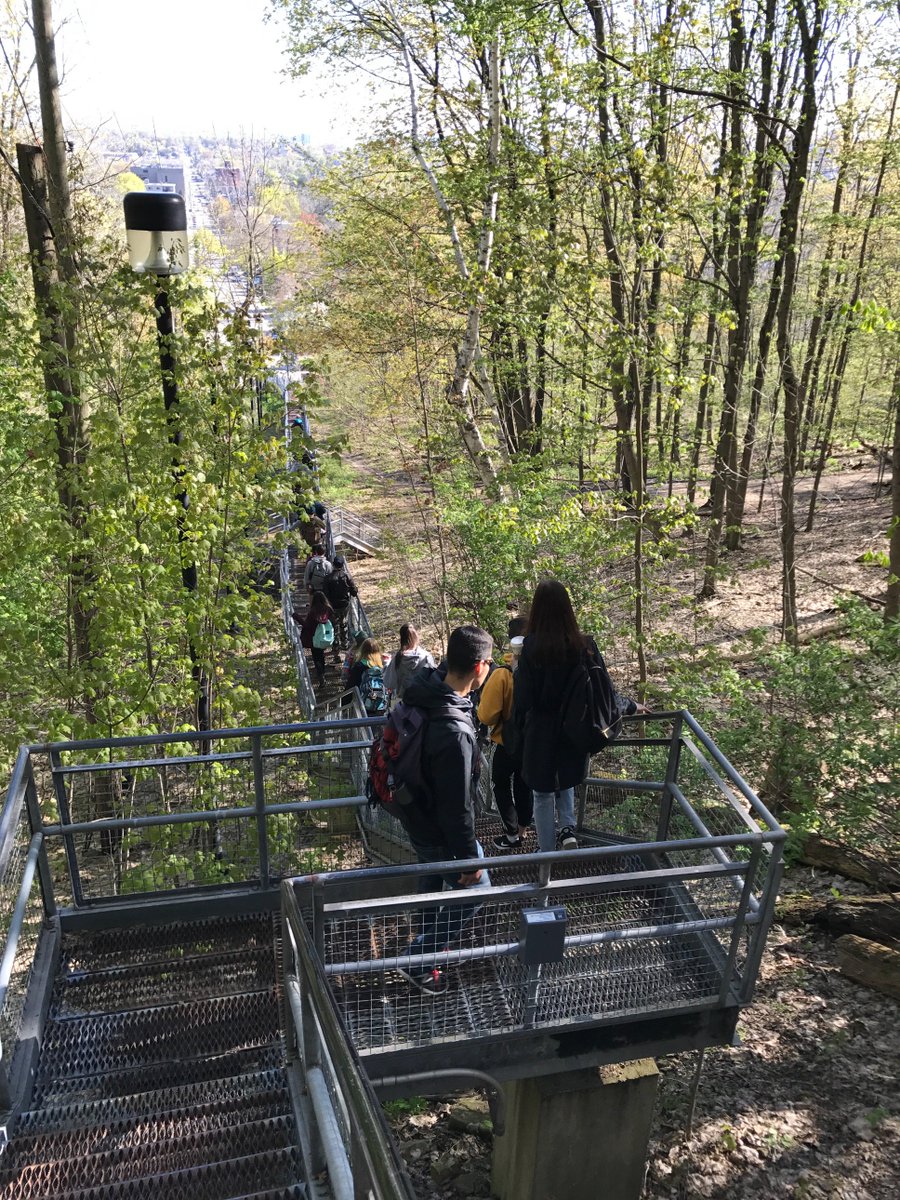 Jennifer Currie tweet media