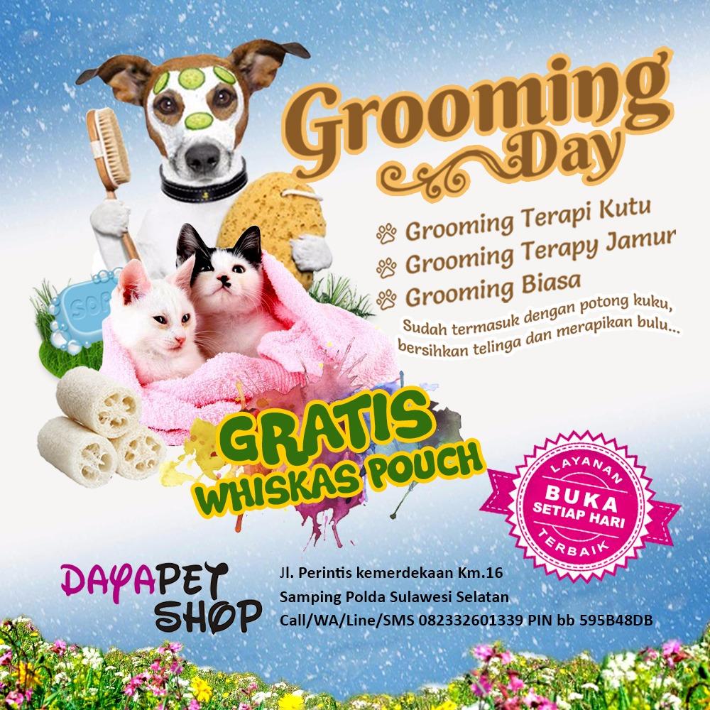 dayapetshop's tweet photo. Hay Pet Lovers..
Mau Whiskas Pouch senilai 6rb Free??
Grooming aja kucing anda di DayaPetshop..
Ayoo Buruan... 🏃🏃 https://t.co/n8mCMYsG1Q