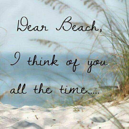 HughenEdna's tweet photo. Today was amazin on the gulf coast...🌴 the sun is shinin ..my heart is happy ..an the beach was peaceful..i feel at peace.👓 https://t.co/ZG6Ebk6gxm