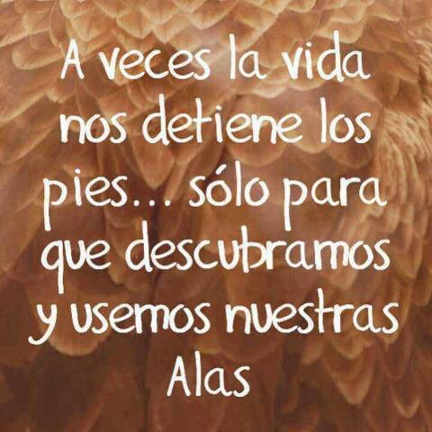 edugarciasubi's tweet photo. #pregabatx1 https://t.co/b8K5iqiC2P