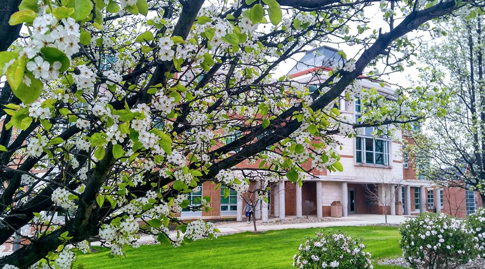 CUREUniversity's tweet photo. Congrats to our 33rd chapter at Clarion University of Pennsylvania! We're so excited to have you on board! #cureu #clarion https://t.co/NhuxoYbY4R