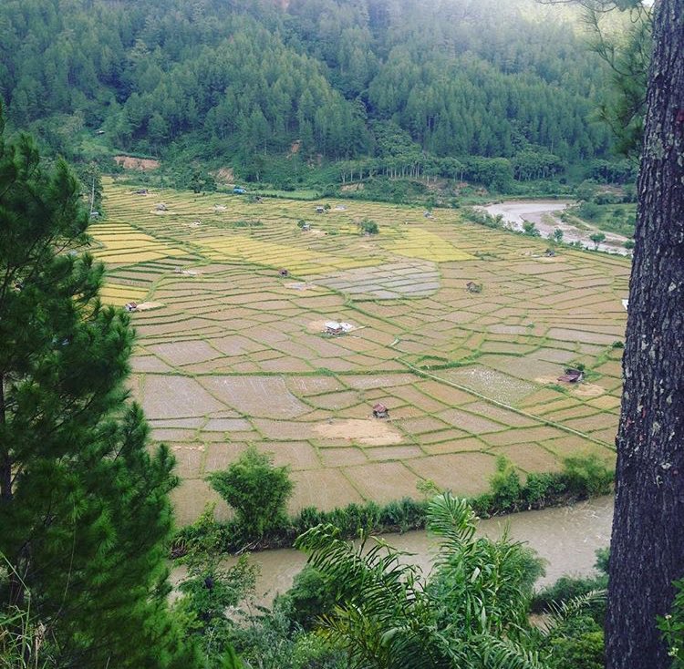 Sustainable development?