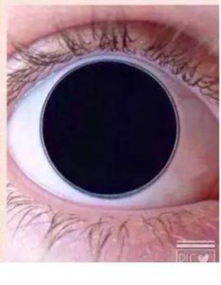derekklenashair's tweet photo. Your pupils can expand as much as 45% when looking at something you love https://t.co/Y0OImRhmly