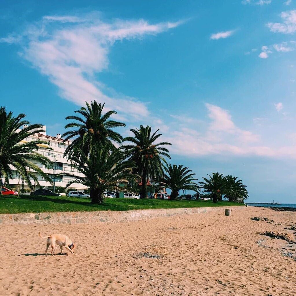 iIoveaesthetics's tweet photo. this is where I'd rather be https://t.co/uagBerczQG